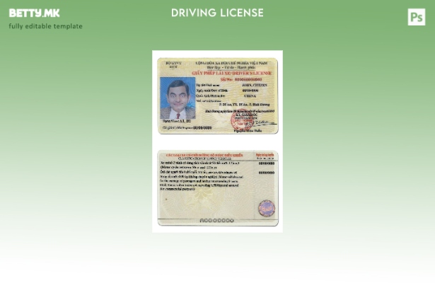 Шаблон за возачка дозвола од Виетнам во модерен стил